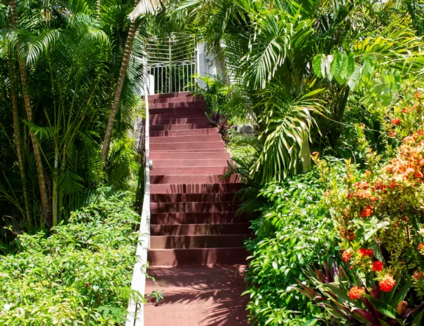 The Pink House entrance from Belmont Road. At night, the steps are lined with lights controlled by switches on the post in the bottom left corner of this image and at the top of the stairs behind the pink wall.
