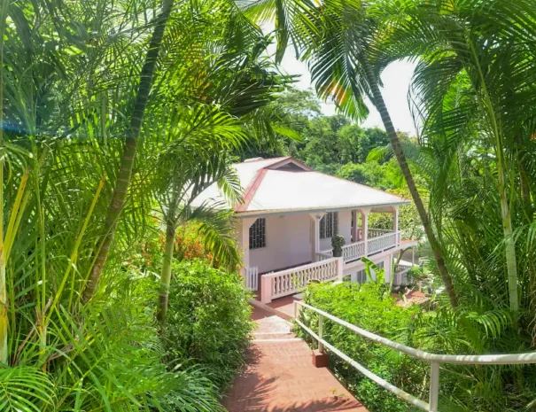 dee044b1-97c0-4424-b530-afd60708fc09