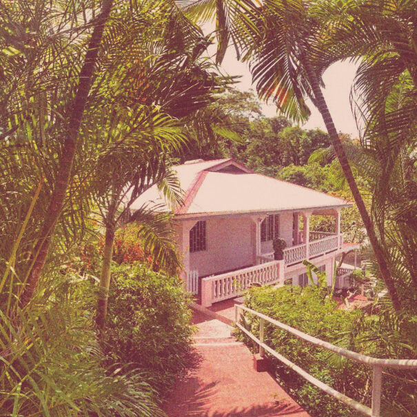 dee044b1-97c0-4424-b530-afd60708fc09 copy